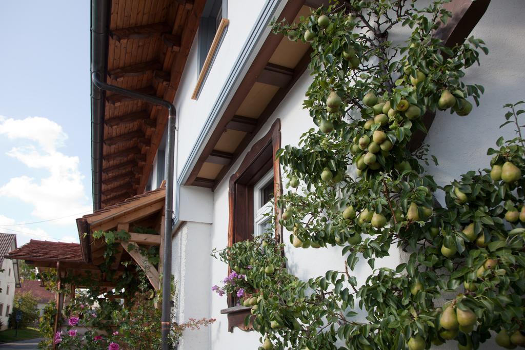 Pension Baarblick Hotel Donaueschingen Eksteriør billede
